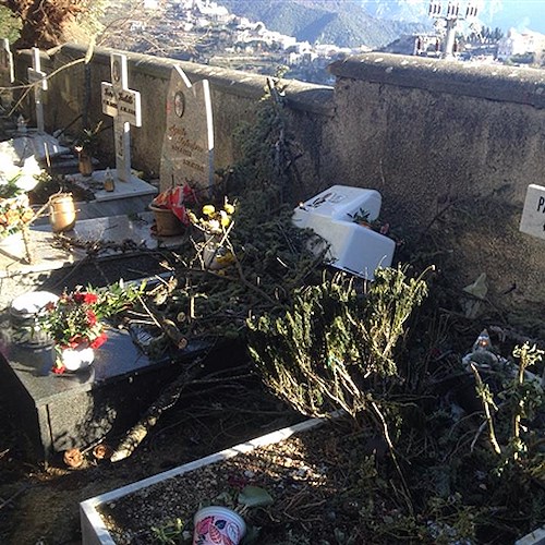 Scala: vento forte sradica abete al Cimitero, danneggiate tombe e un'auto