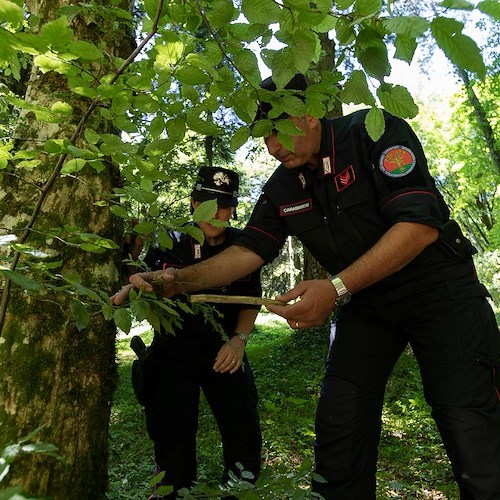 Scarichi non depurati nel fiume Sarno, sequestrata industria conserviera di Nocera Superiore