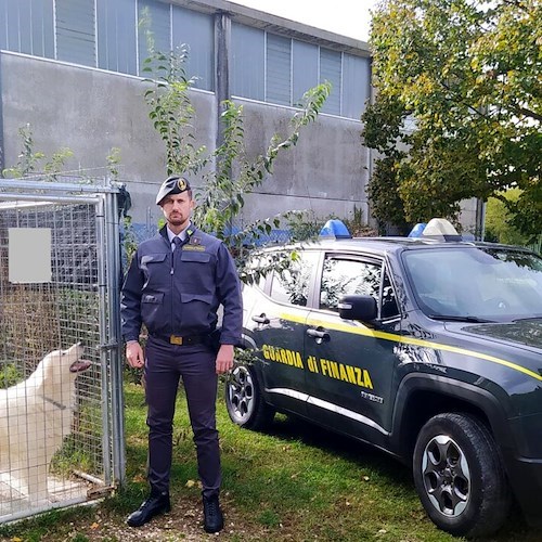 Andrea Colbato<br />&copy; Guardia di Finanza