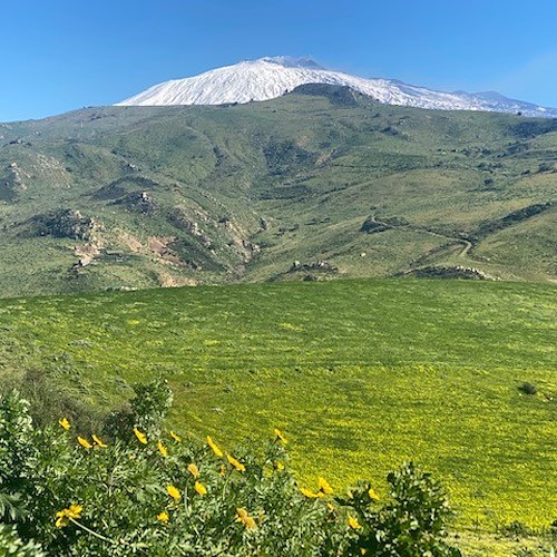 Scoperto in Sicilia insediamento preistorico vicino a futura discarica, Sindaco di Centuripe si dice pronto a lottare