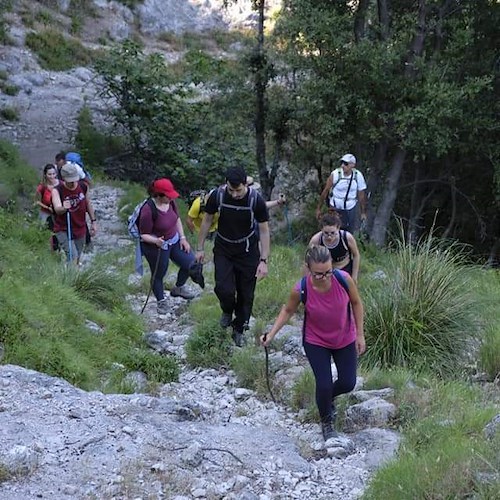 Sentiero delle Formichelle: da Tramonti a Minori un percorso inedito tra natura, storie e gusto [VIDEO]