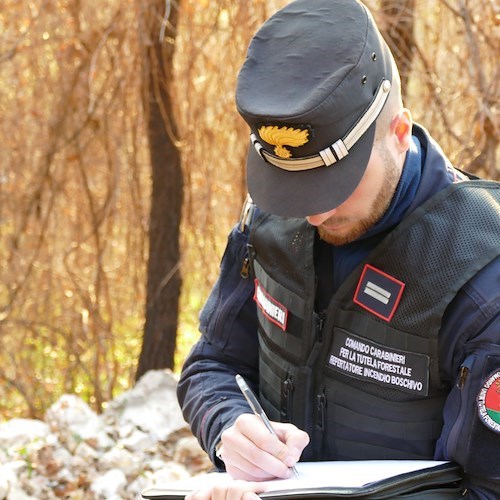 2500 kg di shopper illegali nei negozi del casertano<br />&copy; Carabinieri