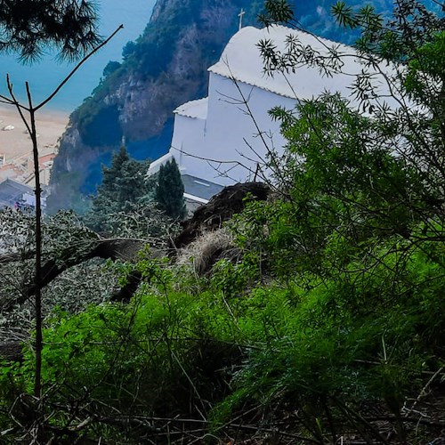 Sicurezza del territorio: rimossi alberi abbattuti dal vento su versante Scala-Atrani [FOTO]