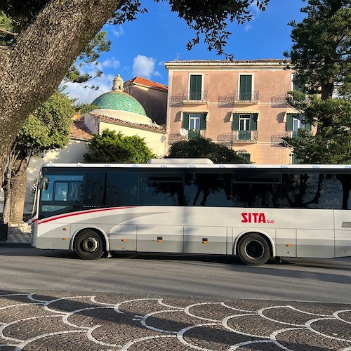 Sicurezza Trasporto Pubblico Locale, i sindacati: «Urgente attivare i corsi A.P.A. per il personale operativo»