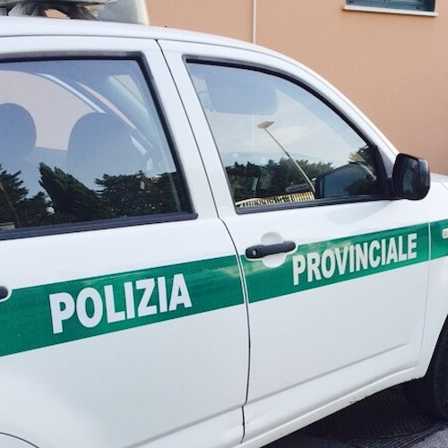 Soppressione della polizia provinciale di Salerno, i vertici nazionali della Csa scrivono al presidente Alfieri