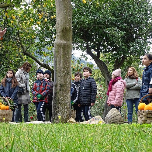 Sorrento, con lo "Spremuta Day" alunni a lezione di natura 