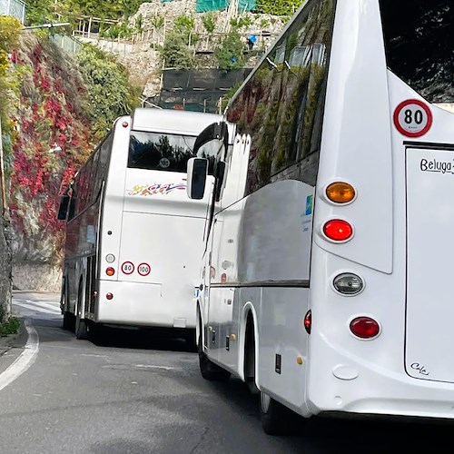 Bus turistici<br />&copy; Massimiliano D'Uva