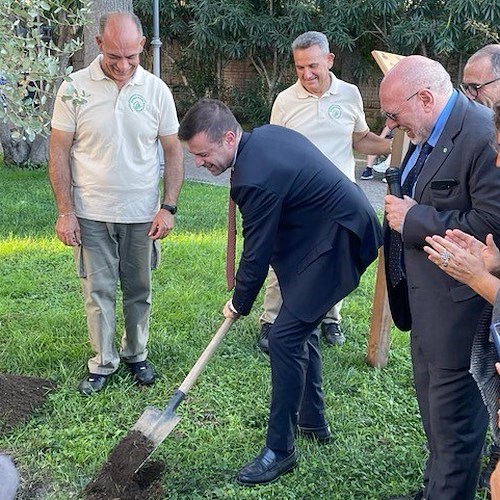 Sorrento solidale con chi soffre di fibromialgia. In villa comunale piantato un “Albero della vita” 