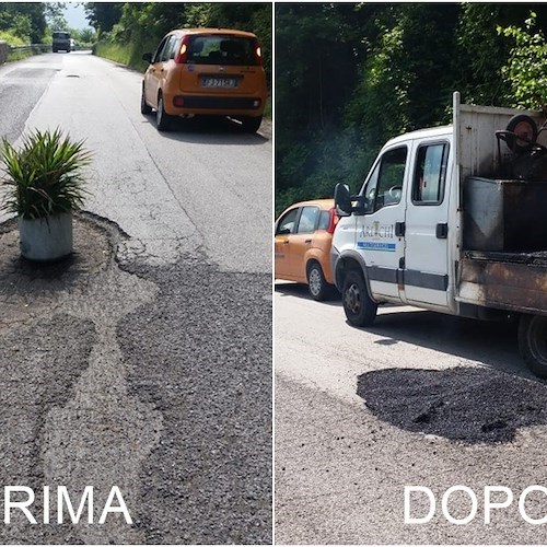 Strada della vergogna: piante per segnalare le buche. E Provincia rattoppa in pochi minuti [FOTO]