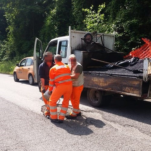 Strada della vergogna: piante per segnalare le buche. E Provincia rattoppa in pochi minuti [FOTO]