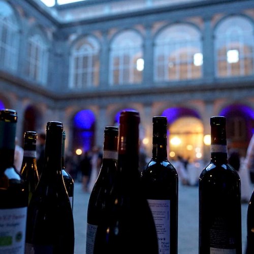 Successo per "Campania.Wine Sustainability", Consorzi di Tutela: «Insieme possiamo valorizzare davvero il nostro patrimonio agroalimentare»