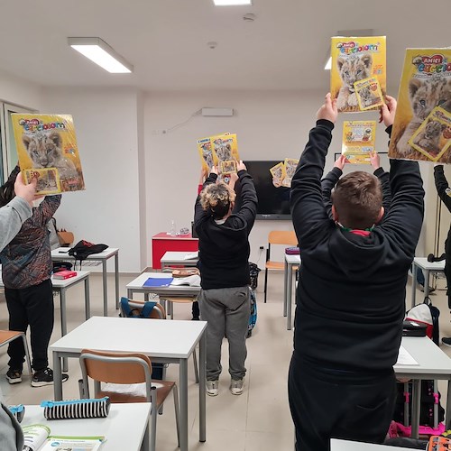 "Tour Cucciolotti": nelle scuole della Costa d'Amalfi gli album di figurine che salvano i trovatelli