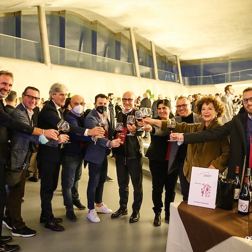 Tra gli eventi del Salone del Vino di Salerno anche un tour di una delegazione straniera in Costa d'Amalfi 