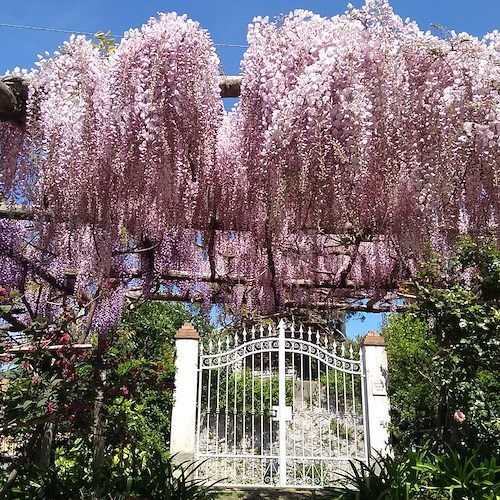 Tramonti, 1° maggio riapre il Giardino Segreto dell'Anima