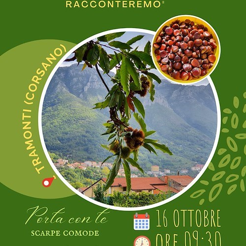 Tramonti, 16 ottobre una giornata di raccolta delle castagne con Acarbio