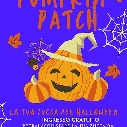 Tramonti, 30 ottobre alla “Casa del Gusto” i bambini potranno decorare la zucca di Halloween