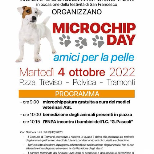 Tramonti, 4 ottobre un "Microchip Day" gratuito per l'iscrizione all’anagrafe canina