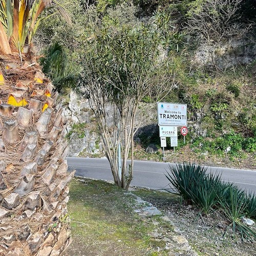 Tramonti accoglie 13 profughi ucraini, tra gli ospitanti anche Don Francesco