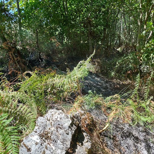 Tramonti, alla vigilia di Ferragosto incendio in località "Passo": estinto in poco tempo