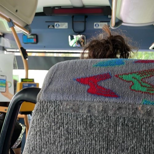 Trasporti, abbonamenti gratuiti per gli studenti campani: ecco i requisiti