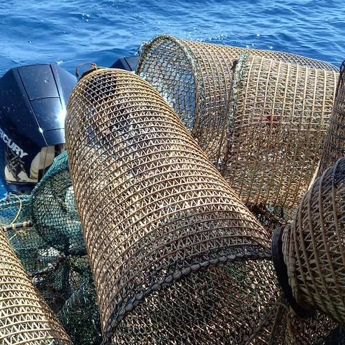 Trenta nasse per 1 km di mare ad Acciaroli: sequestrati attrezzi da pesca irregolari