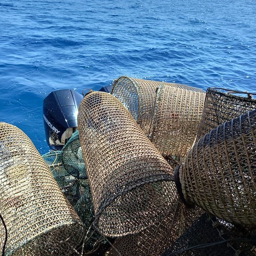 Trenta nasse per 1 km di mare ad Acciaroli: sequestrati attrezzi da pesca irregolari