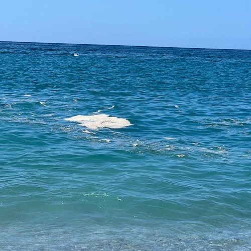 Turismo balneare, Tommasetti: «Il mare di Salerno invaso da schiuma e liquami»