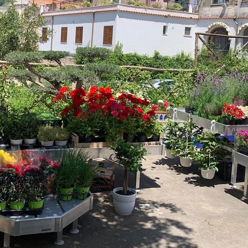 Ugo Pellecchia apre a Ravello la sua "Terrazza fiorita"