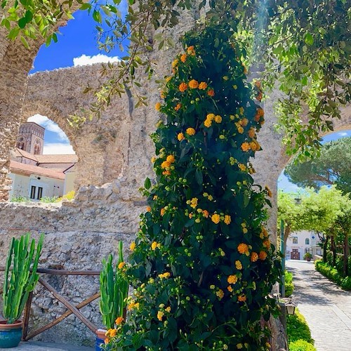 Ugo Pellecchia apre a Ravello la sua "Terrazza fiorita"