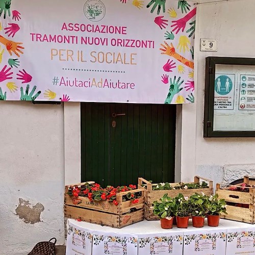 Una begonia per aiutare gli alluvionati dell'Emilia-Romagna, l'iniziativa di “Tramonti Nuovi Orizzonti” 