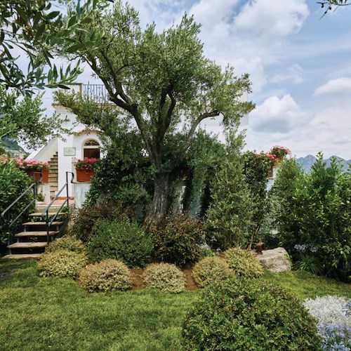 Una guest house di lusso sulla Costiera Amalfitana: ecco Belmond Villa Margherita di Ravello