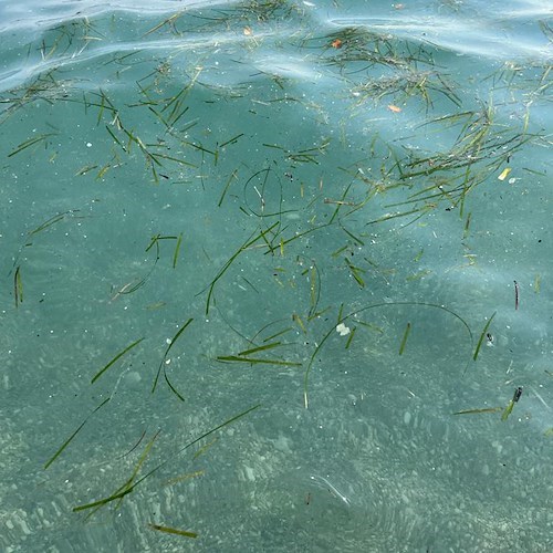 Una lucida disamina delle condizioni del mare della Costa d'Amalfi, tra aspettative e delusioni