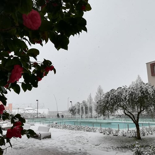 Unisa: disagi per gli studenti a causa della neve, Ateneo chiuso fino al 27 febbraio 