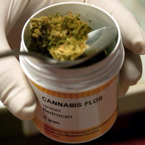 Uso terapeutico della cannabis: Consiglio Regionale Campania approva