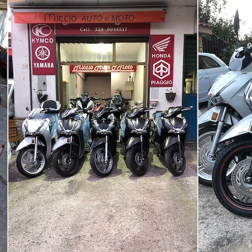 Vendita e assistenza auto e scooter: Miccio è sinonimo di competenza con garanzia del miglior prezzo