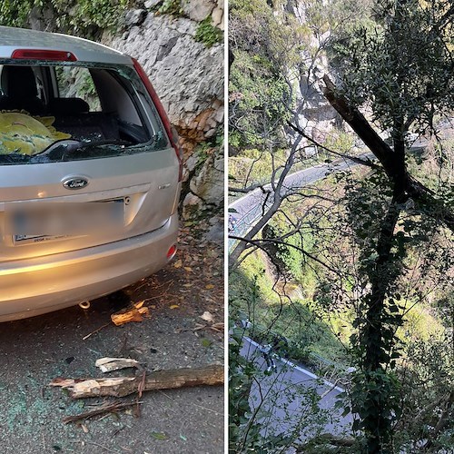 Vento forte a Positano, danni ad auto in sosta. Pulizia urgente a Montepertuso /foto