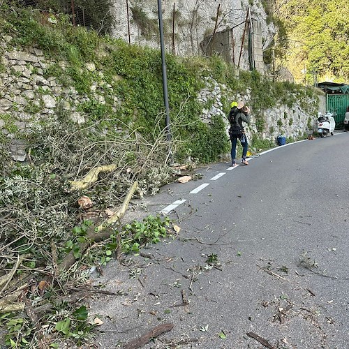 Vento forte a Positano, danni ad auto in sosta. Pulizia urgente a Montepertuso /foto