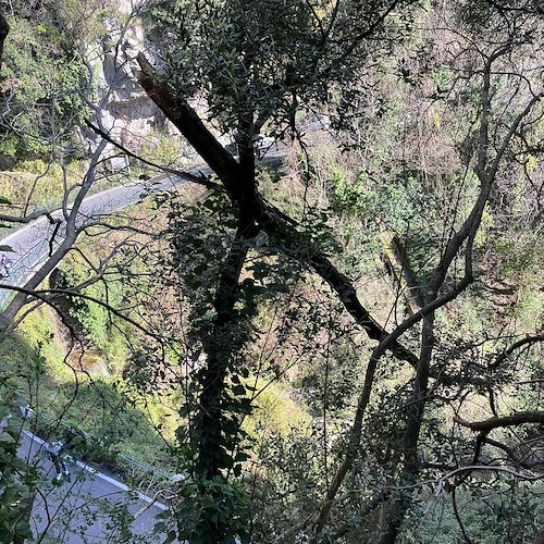 Vento forte a Positano, danni ad auto in sosta. Pulizia urgente a Montepertuso /foto