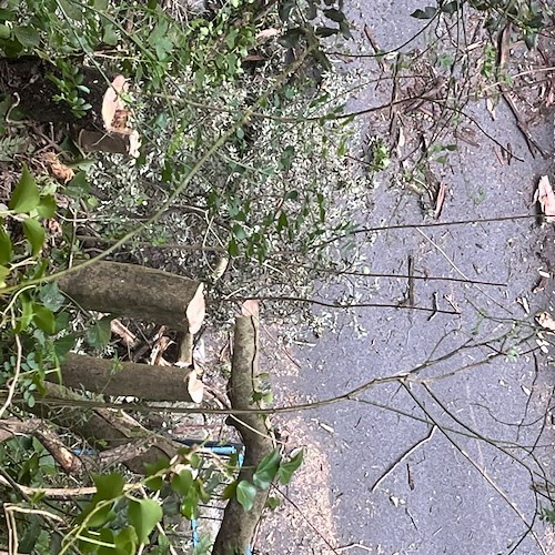 Vento forte a Positano, danni ad auto in sosta. Pulizia urgente a Montepertuso /foto