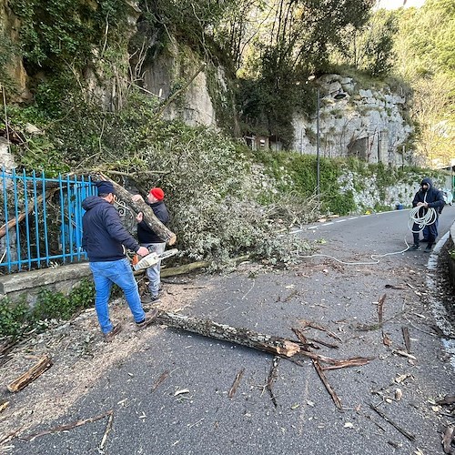 Vento forte a Positano, danni ad auto in sosta. Pulizia urgente a Montepertuso /foto