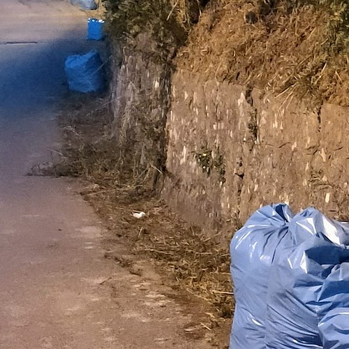 Vietri sul Mare, sacchi ricolmi di erba lasciati ai margini della strada: il disappunto del Comitato Civico Dragonea
