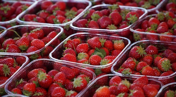 Agea stanzia oltre 11,5 milioni per le imprese agricole campane