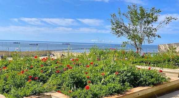 Salerno, stasera riapre lo storico Giardino della Minerva